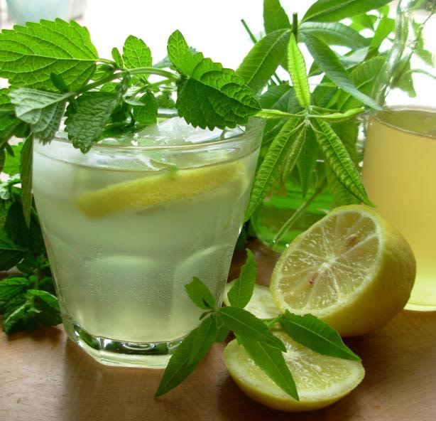 Absolutly Refreshing Citron Vodka Cocktail Bombay Rocks